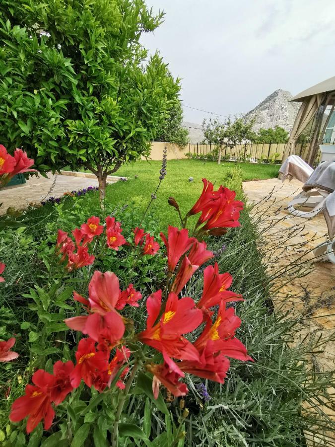 Villa Mater - Luxuriously Equipped Villa With A 15M Long Swimming Pool Zrnovnica Exterior photo